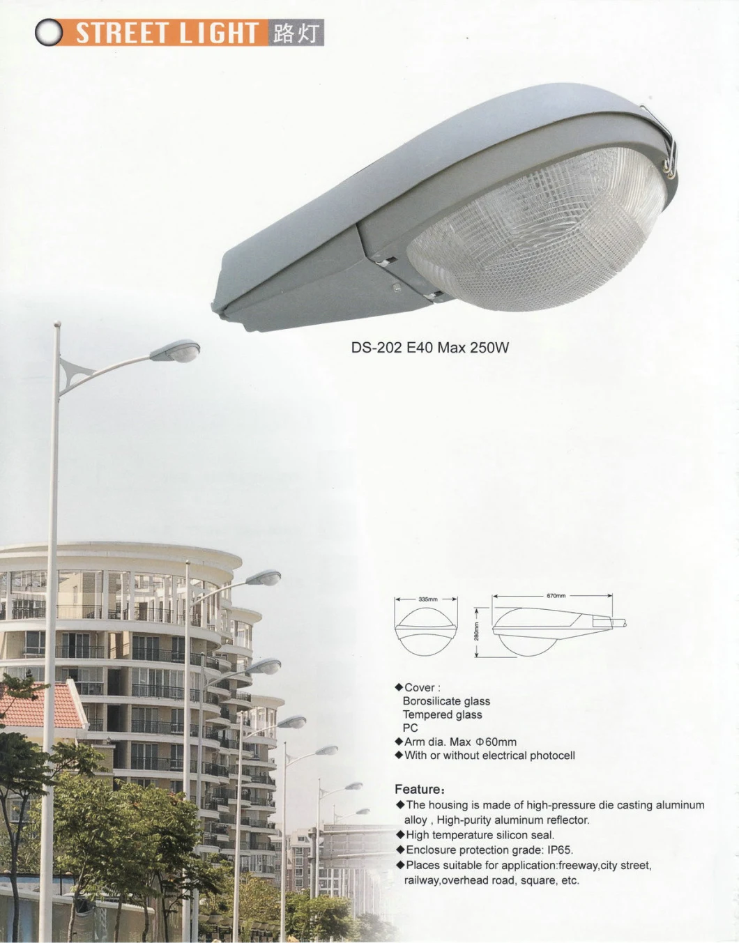 Outdoor Lighting and Street Light Fixture Ds-202 Max 400W